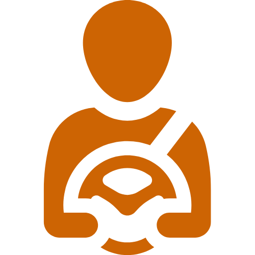 Safe Driving Icon